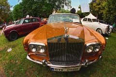 81