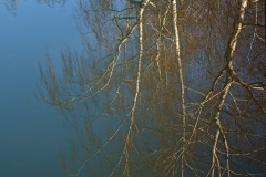 09