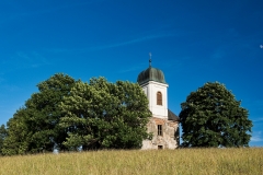 Jedlová