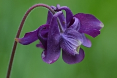 53