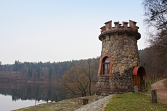 31
