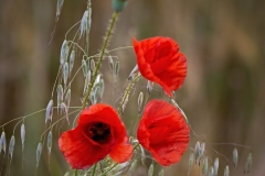 04