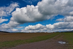36