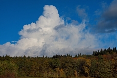 56