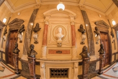31