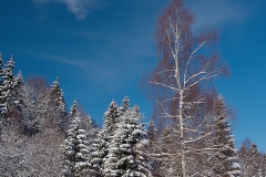 09
