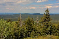 73
