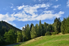 80