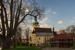 07