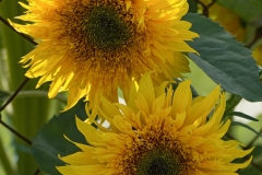 02