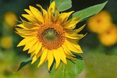 05
