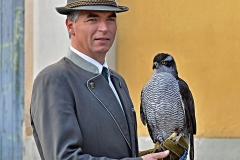 Petr Zvolánek